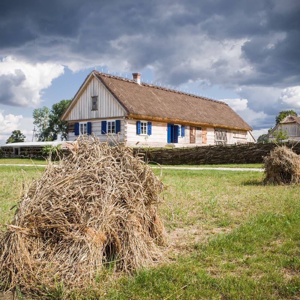 Pracowali jak chłopi, a żyli jak szlachta. Śladem mazowieckich olendrów