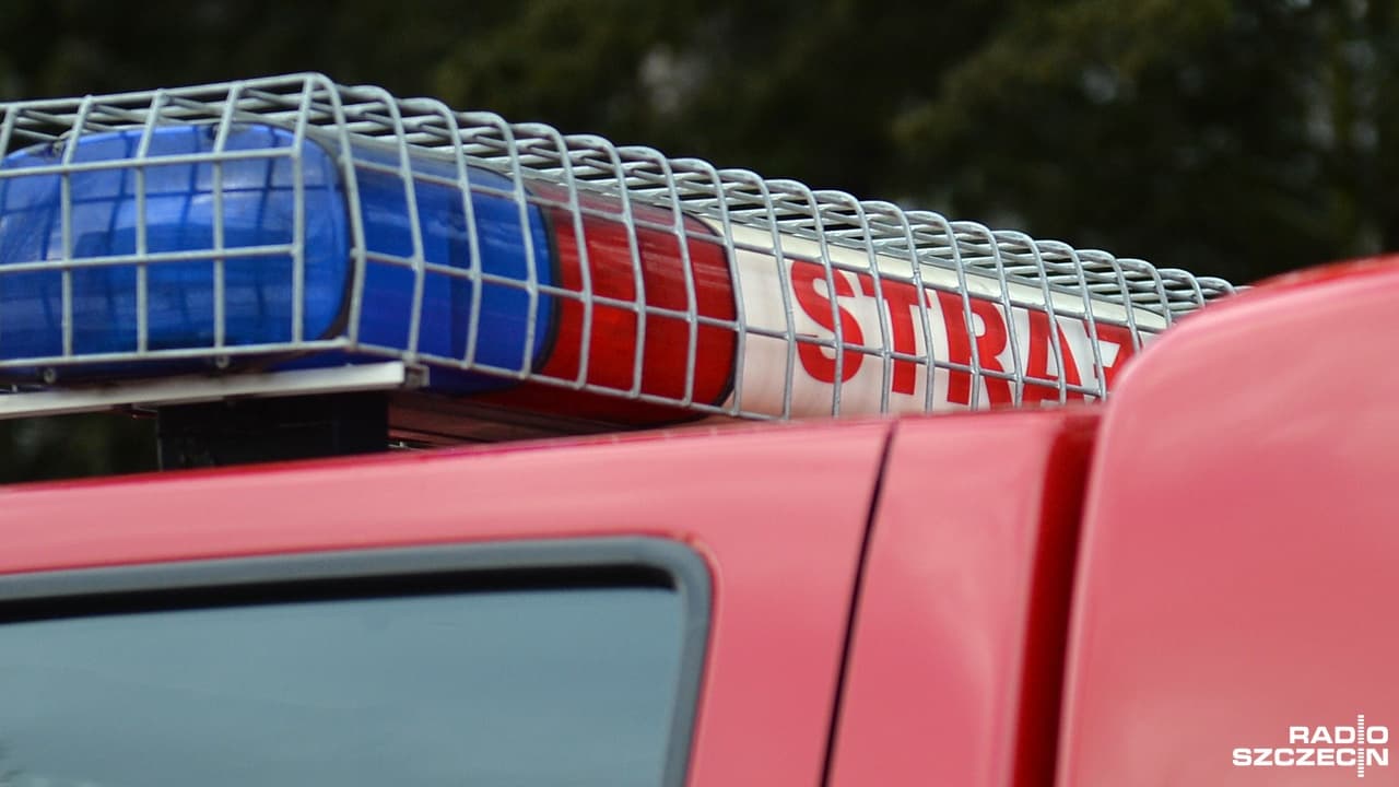 Pracowity dzień strażaków w regionie