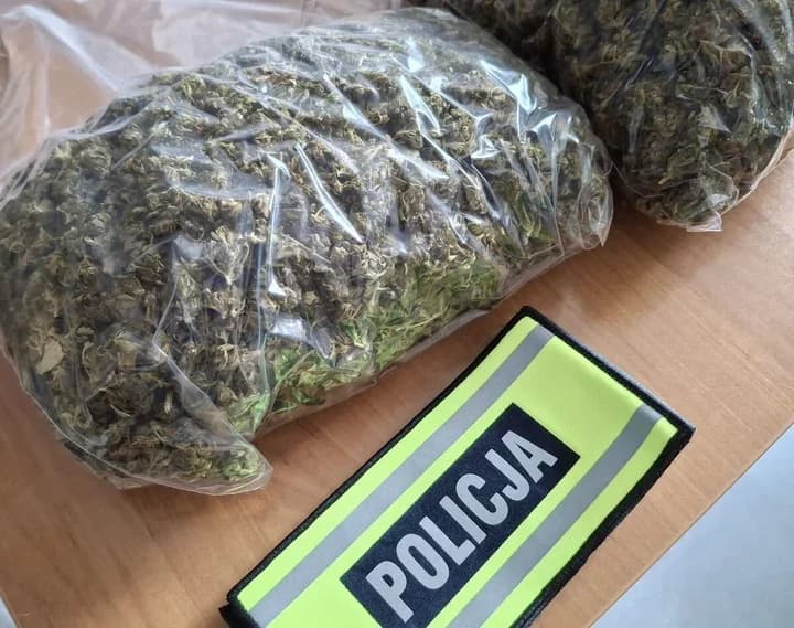 Prawie 1300 roślin i 4 kg marihuany. Plantacja działała w Rykach