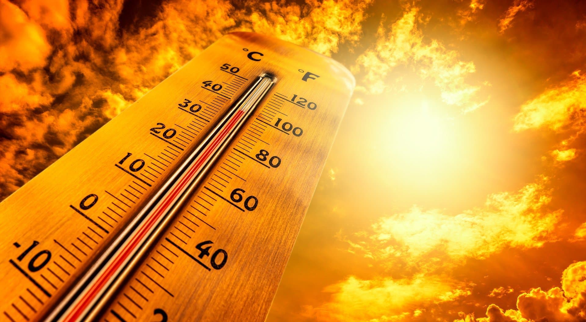 Prognoza pogody na jutro (15.07) dla Szczecinka