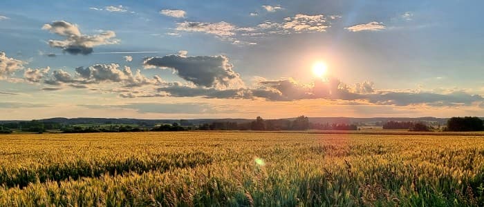 Prognoza pogody na nowy tydzień. Zapowiada się całkiem przyjemne lato
