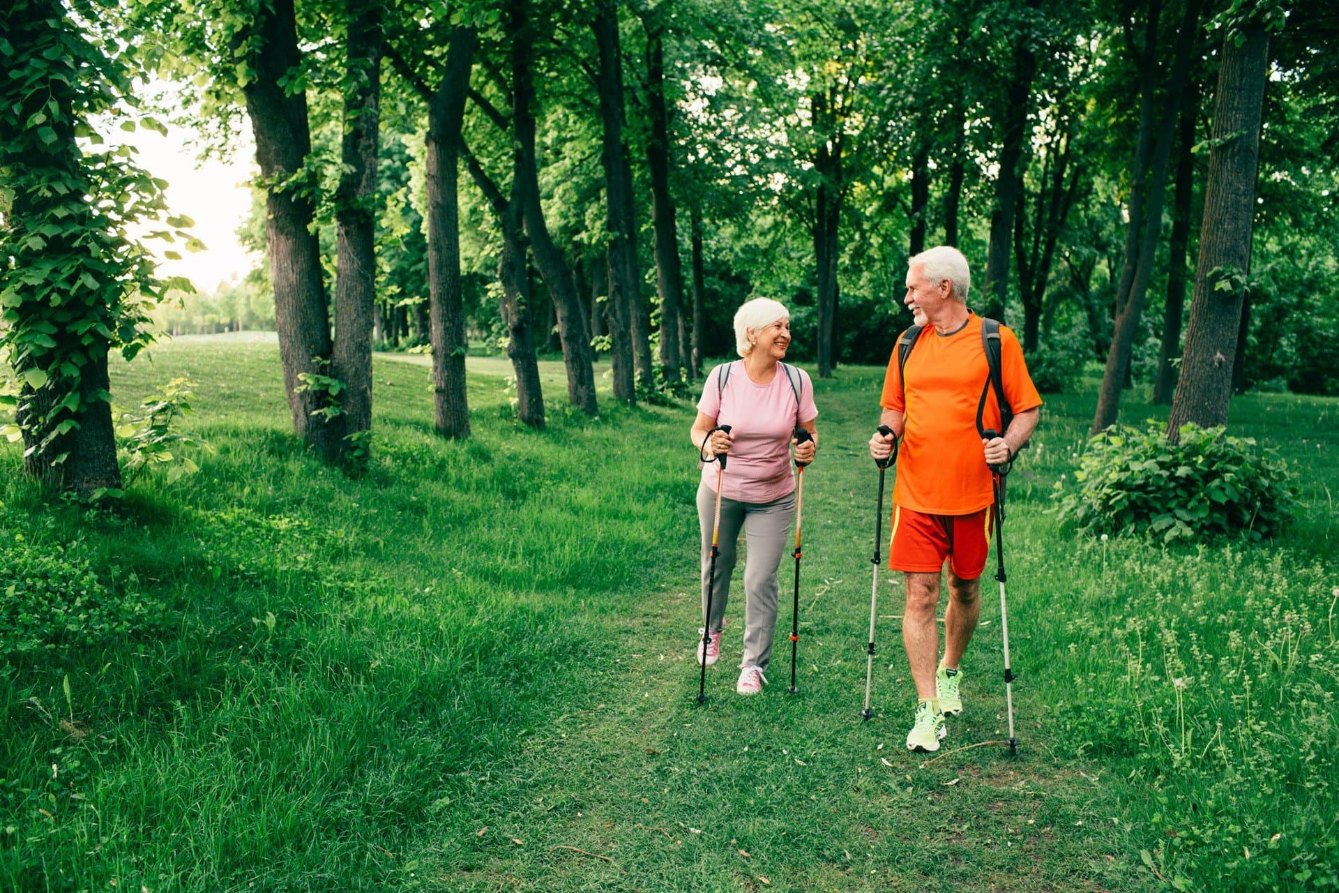 Propozycje tras nordic walking na weekend w okolicy Płocka