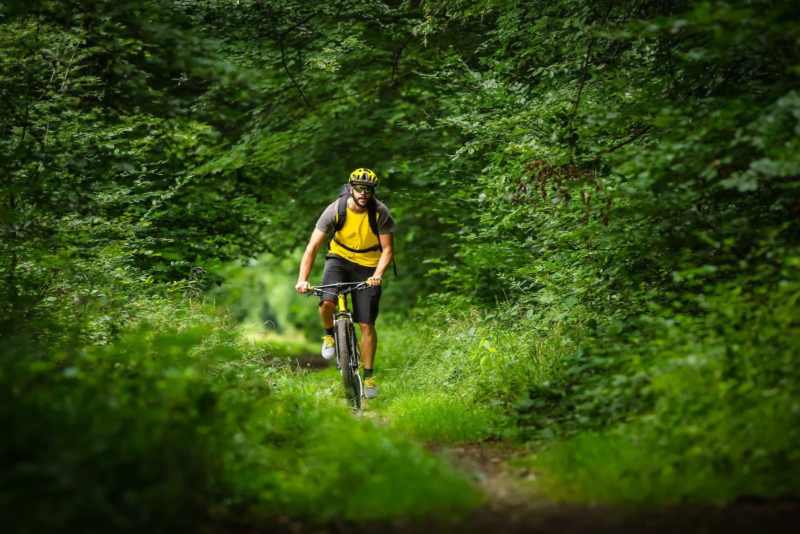 Propozycje tras rowerowych na weekend w pobliżu Kostrzyna nad Odrą