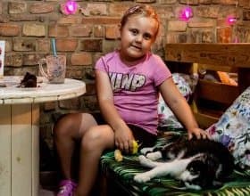 przejdź do aktualności: Na kawę w mruczącym towarzystwie