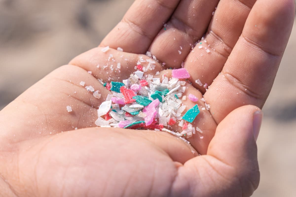 Przełom w walce z mikroplastikiem. Naukowcy stworzyli suplement, który usuwa plastik z organizmu