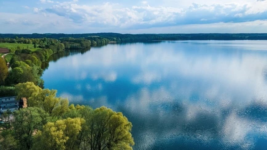 Przyducha na Mazurach. Masowe śnięcie ryb w jeziorze Gołdapiwo