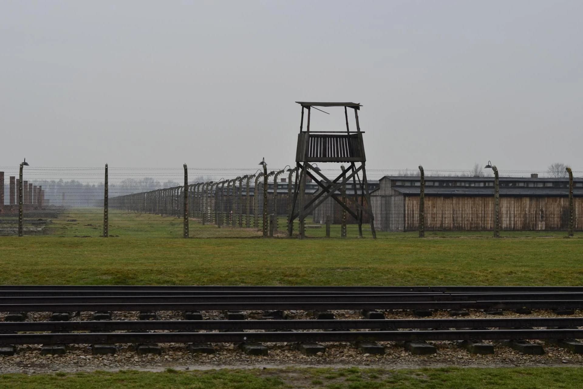 Przyniosła monety, ocaliła historię. Bezcenna kolekcja trafiła do Muzeum Auschwitz