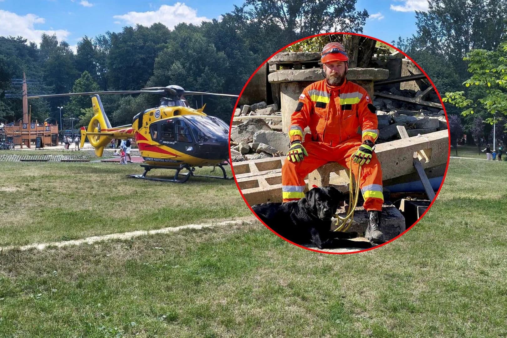 Pszczoła ukąsiła 5-latka w podniebienie. Ocalił go szczęśliw traf