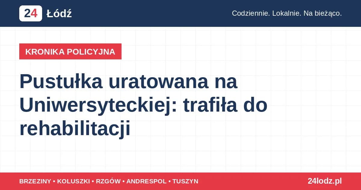 Pustułka uratowana na Uniwersyteckiej: trafiła do rehabilitacji