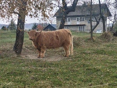 Read article: e-felietonik: Zima 24.