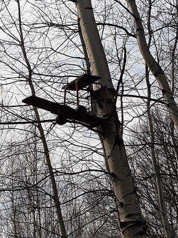 Read article: Powiat – Kosmici Wylądowali ???