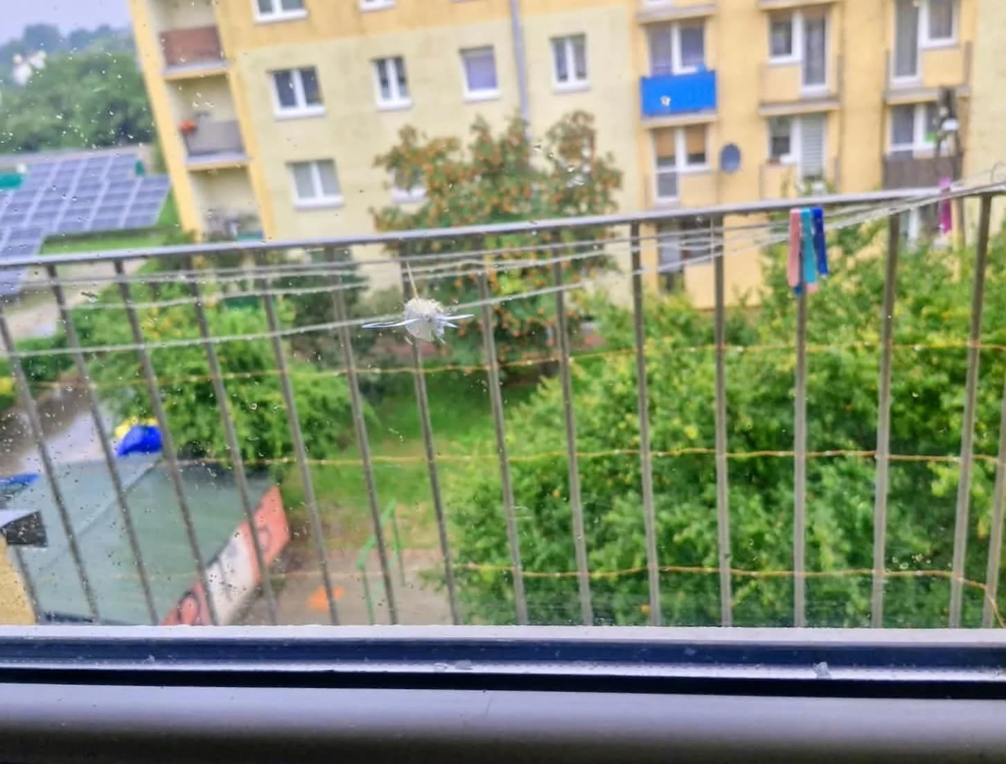 Read article: Przestrzelone szyby w Zgierzu. Policja zabezpieczyła dwie wiatrówki