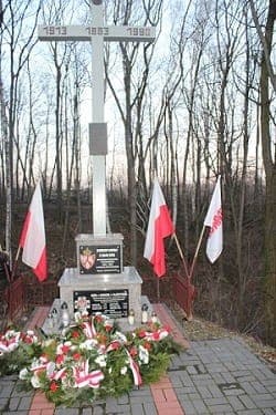 Read article: Ropczyce: 160 Rocznica Powstania Styczniowego.