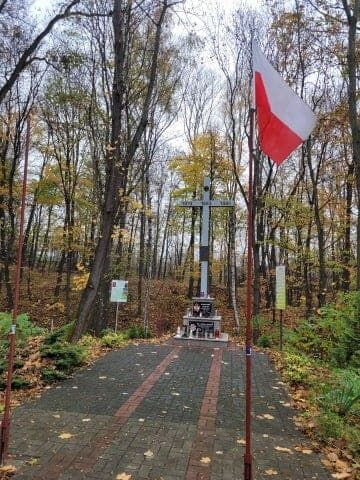 Read article: Ropczyce: Święto Niepodległości 2022 r.