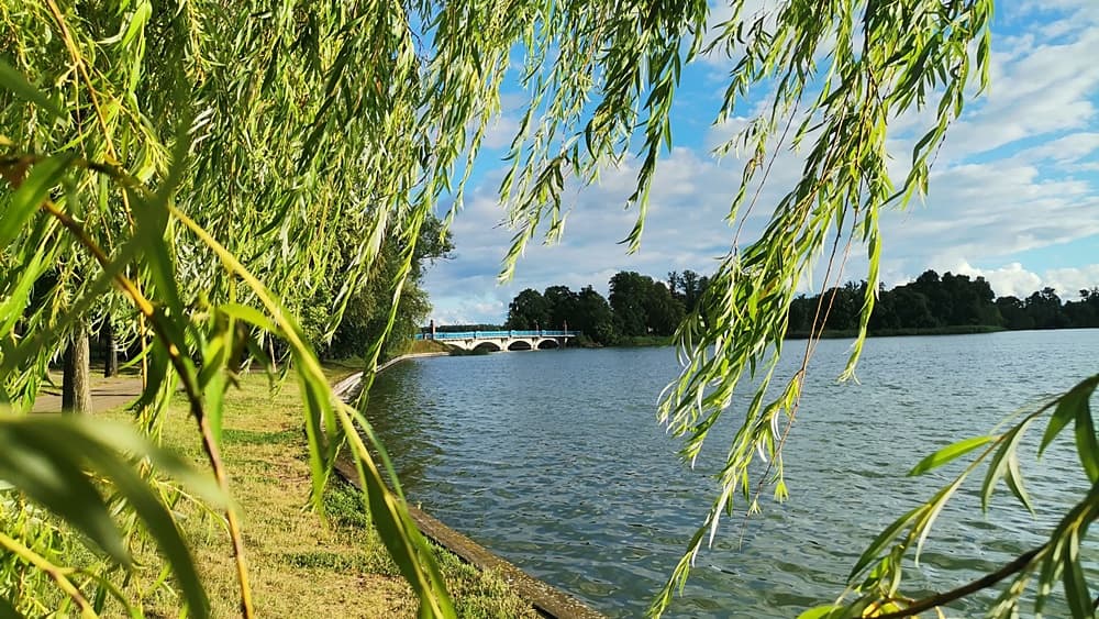 Read article: Wakacje w Ełku. Jak spędzają je turyści?