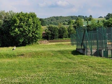 Ropczyce: Nowy Uczeń w „Zwierzu”.