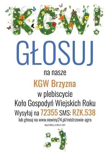 Ropczyce – ”Zagłosuj na nasze Panie”