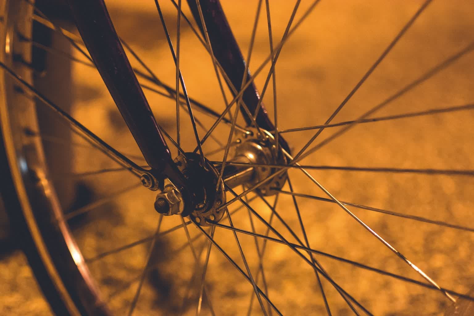 Rowerowe imprezy – zobacz plan