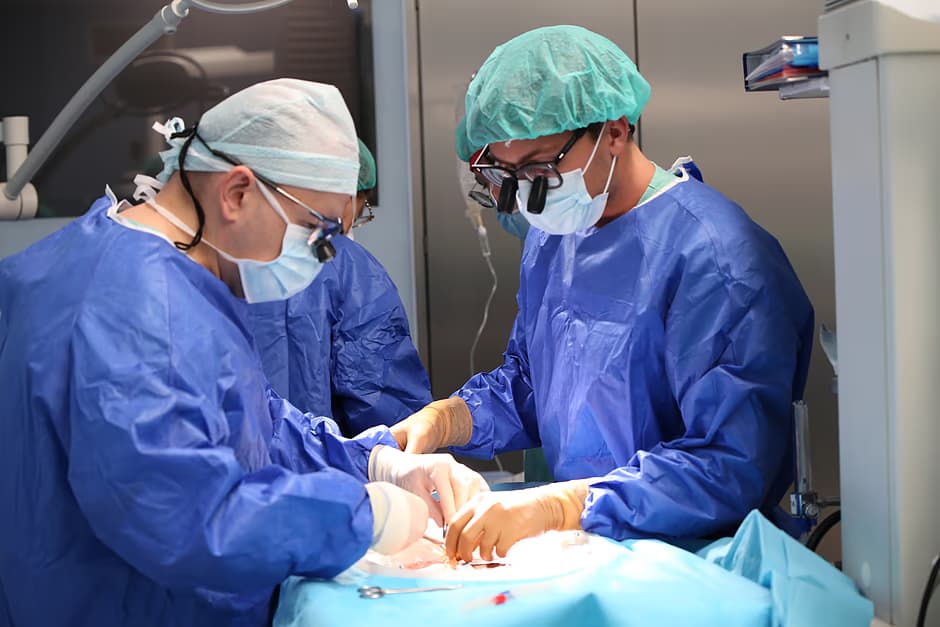 Rozwój programu przeszczepów wątroby w UCK. Już 400 transplantacji przez osiem lat