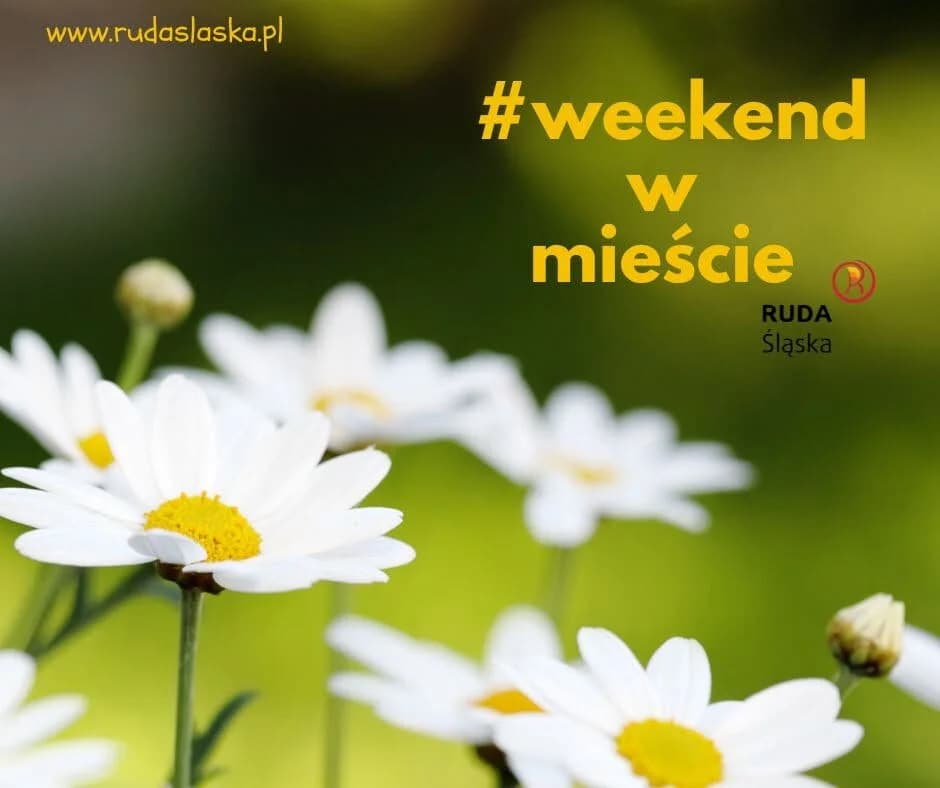 Ruda Śląska: Kilkanaście imprez muzycznych, sportowych i rodzinnych w weekend 10-12 lipca