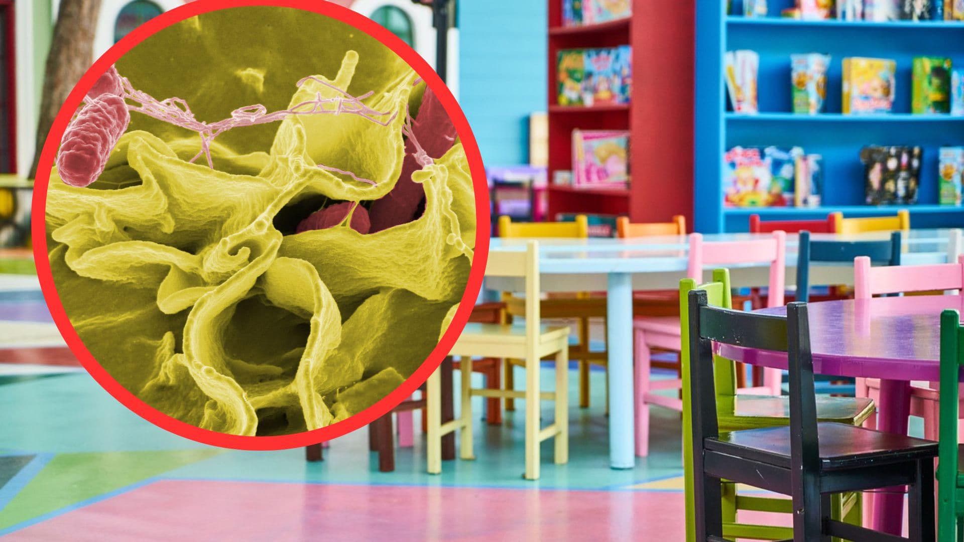 Salmonella w Toruniu się rozprzestrzenia! Zachorowali nie tylko podopieczni żłobka