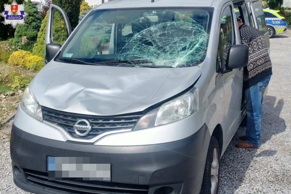 Sarna nagle wbiegła pod samochód na DK17. Policja apeluje do kierowców o ostrożność