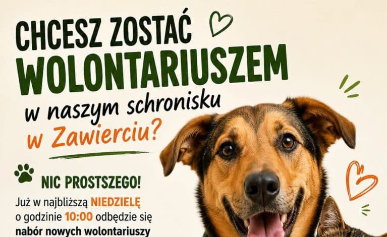 Schronisko w Zawierciu szuka wolontariuszy. W niedzielę odbędzie się nabór i szkolenie