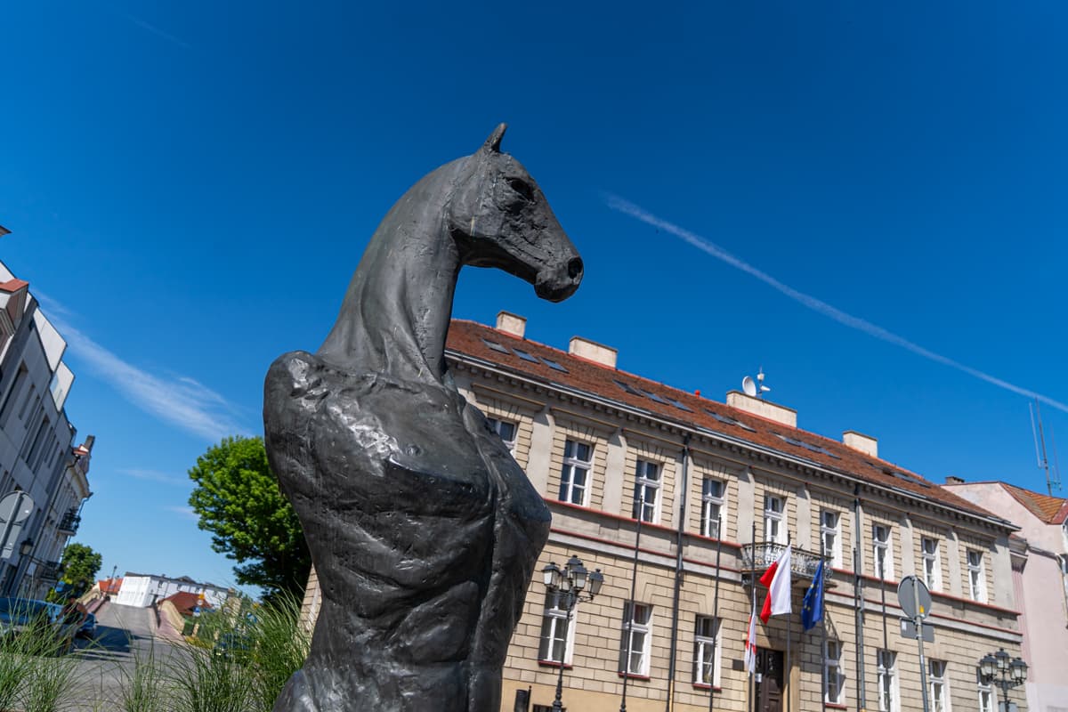Seksowny koń z Konina podbił Internet. „Lepszy niż facet z Tindera”