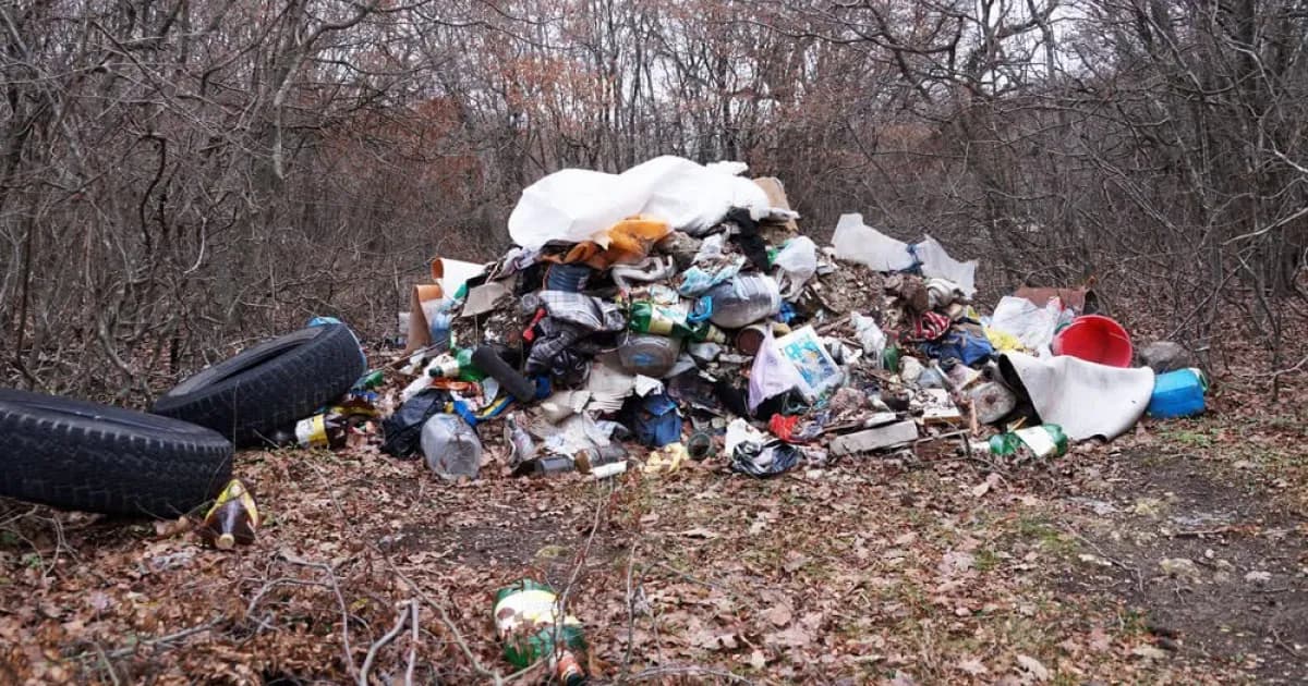 Skala tego zjawiska jest ogromna. Nad rzekami ląduje wszystko