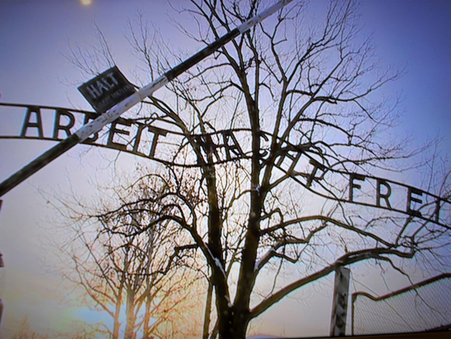 Skandal w Auschwitz. Obywatel Kolumbii usłyszał zarzut za hitlerowski gest