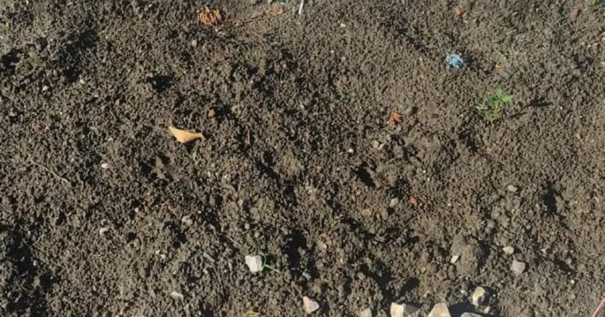 Skrytki narkotykowe na Zaciszu? Mieszkańcy alarmują, służby mają interweniować