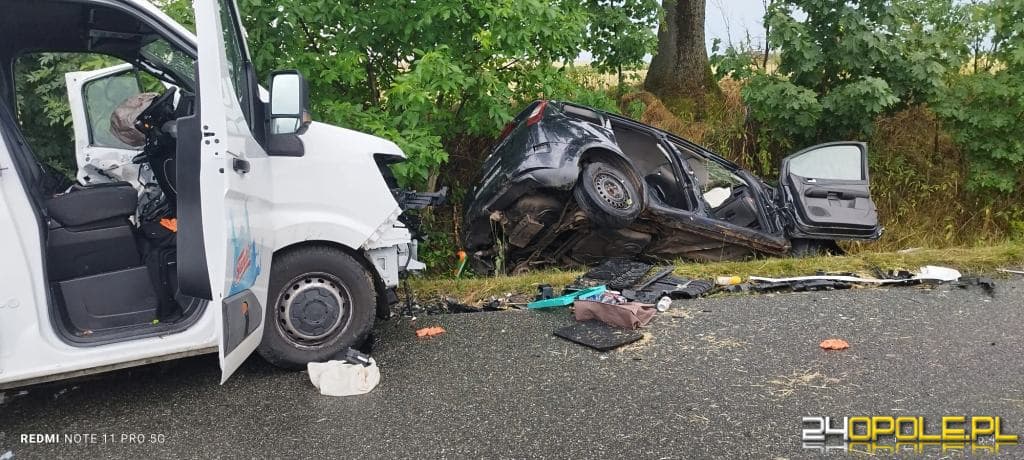 Śmiertelny wypadek na trasie Wilków-Rostkowice