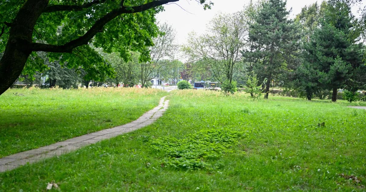 Spore plany w sąsiedztwie kościoła i straży pożarnej. Wycinki nie będzie