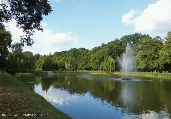 Sport i pamięć spotkały się w Łazach Dąbrowie. Padły nazwiska zwycięzców