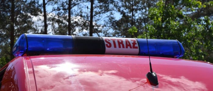 Strażacy uratowali... krowę