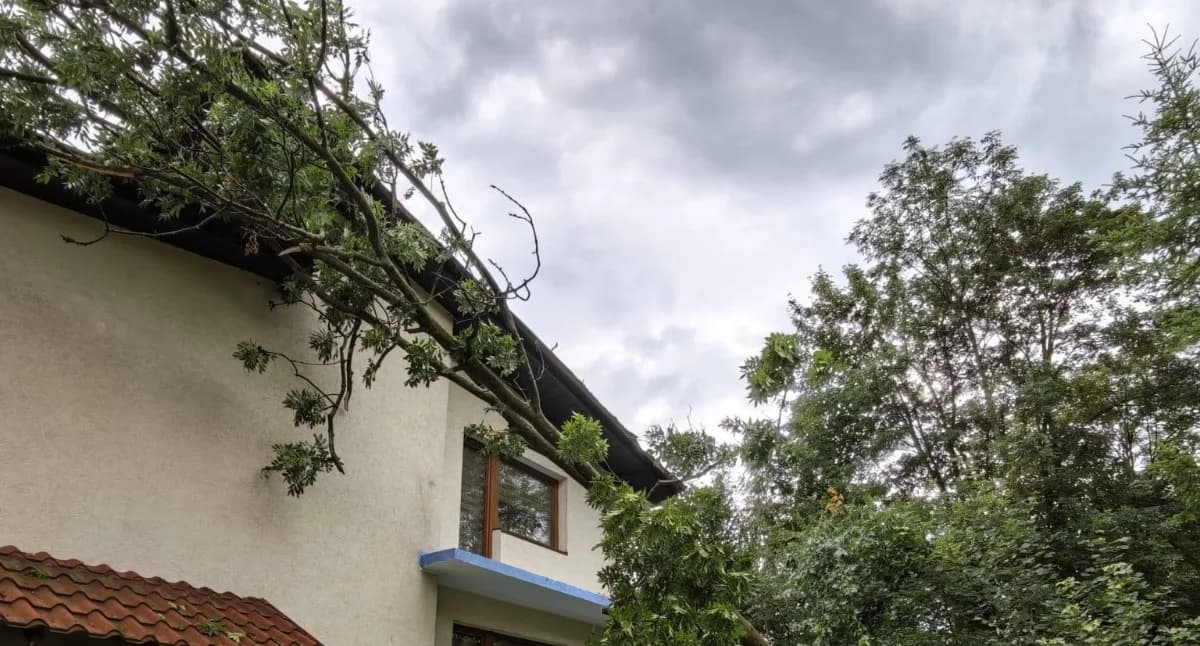 Strażacy usuwają skutki wichury w Pewli Ślemieńskiej dzięki wsparciu mieszkańców
