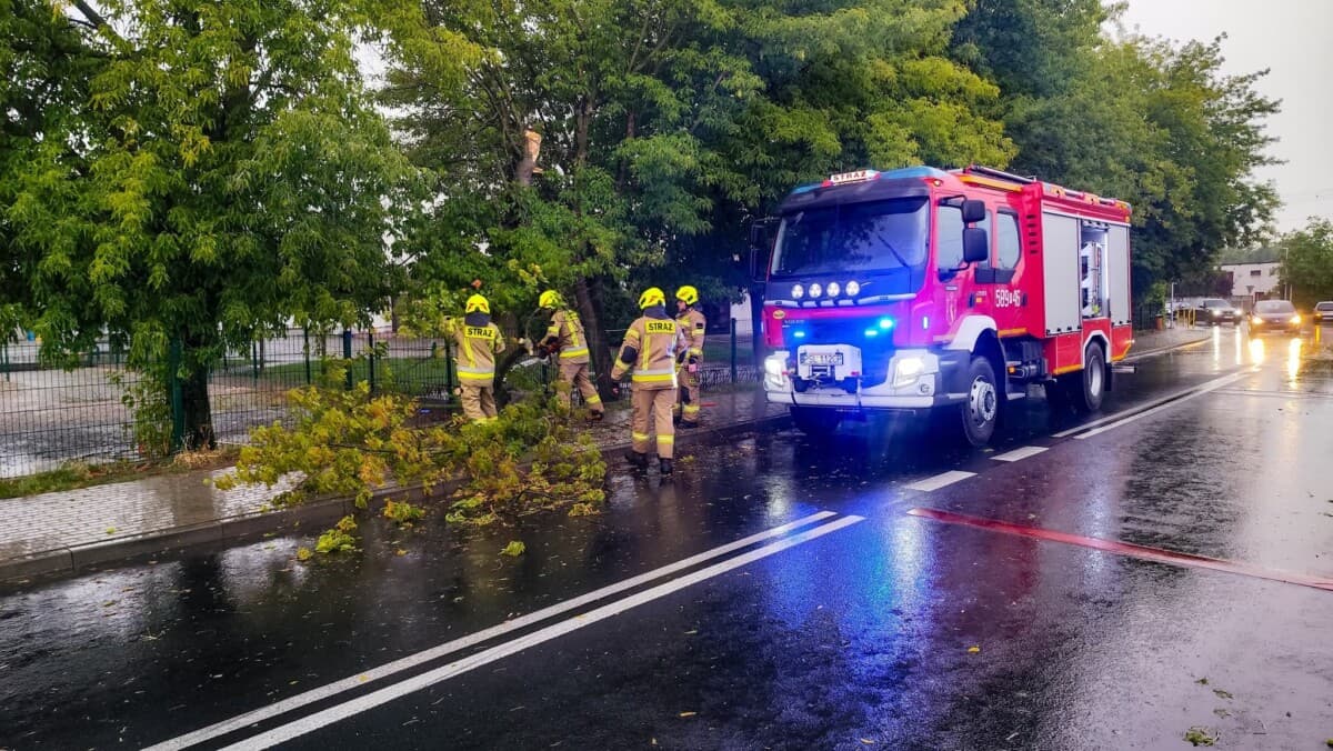 Strażacy usuwali konar drzewa z ulicy