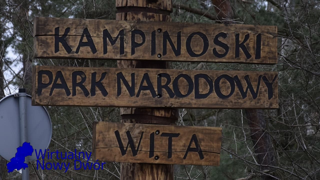 Susza daje we znaki Puszczy Kampinoskiej. Deszcz nie rozwiązał problemu
