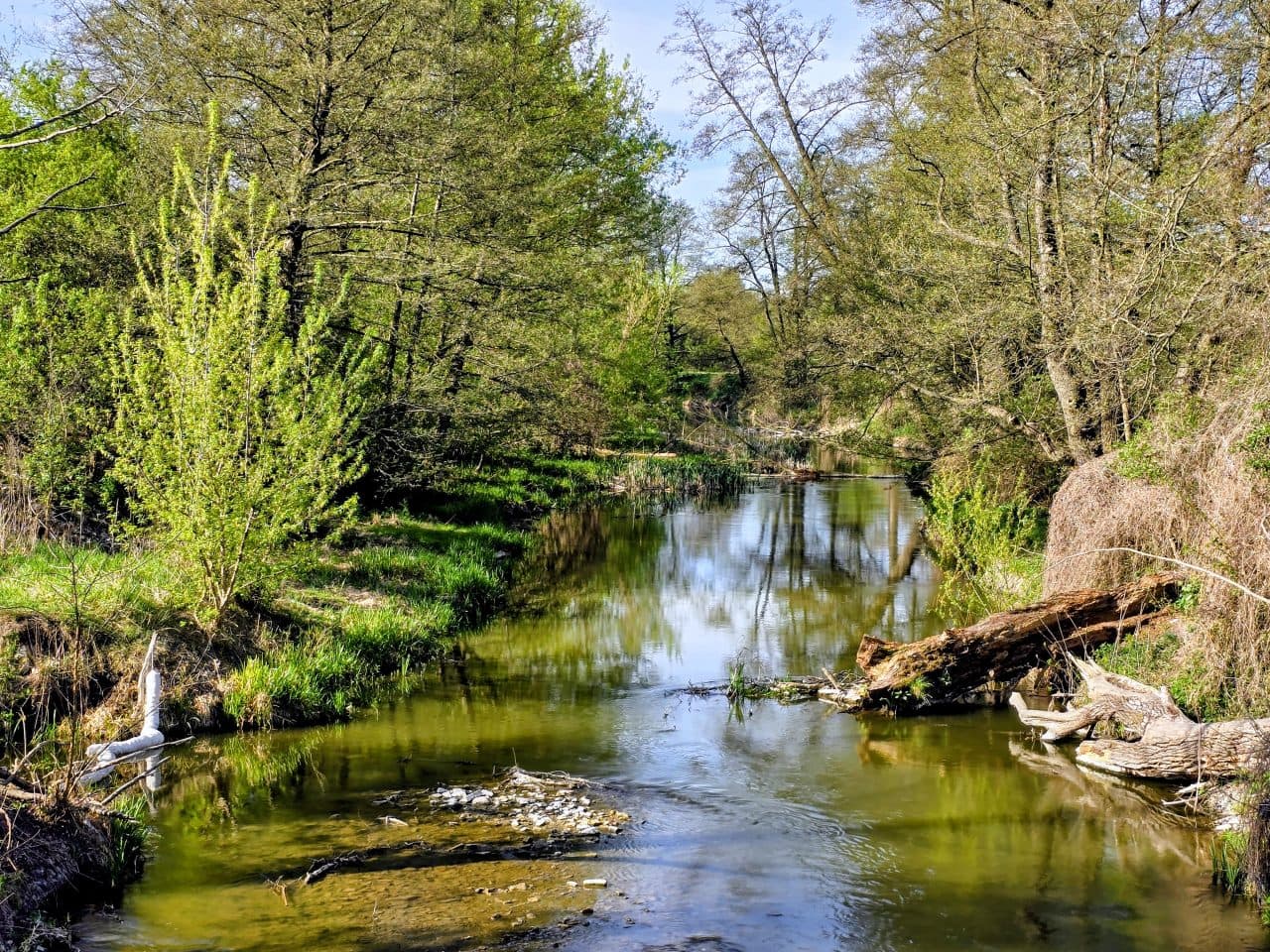 Susza hydrologiczna obejmuje coraz większą część Polski. IMGW wydał nowe ostrzeżenia