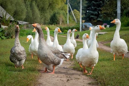 "Świat się kręci wokół wsi". VI edycja konkursu filmowego