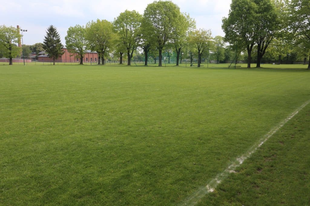 Świdnica z wojewódzkim dofinansowaniem na modernizację infrastruktury sportowej