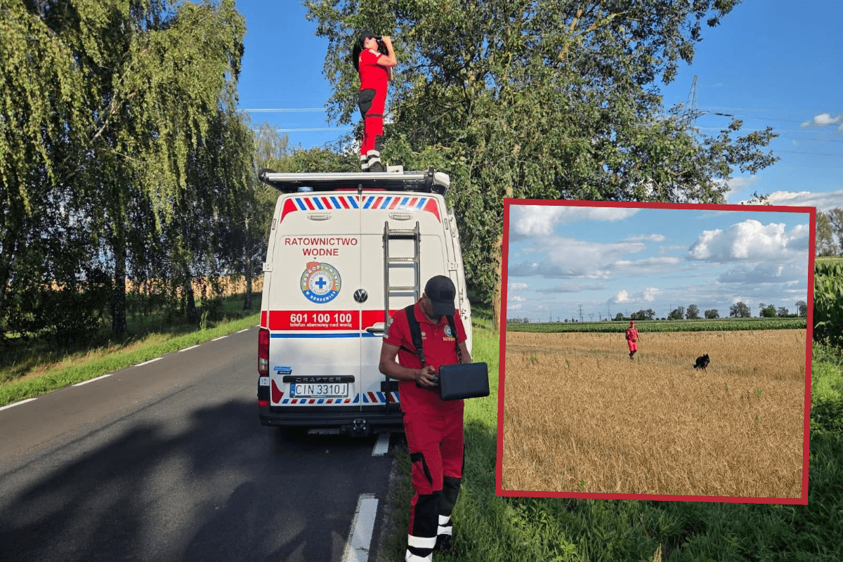 Szczęśliwy finał poszukiwań dziecka. Akcja służb w województwie kujawsko-pomorskim