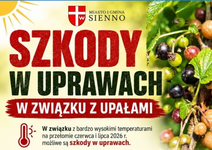 Szkody w uprawach w związku z upałami – Sienno zbiera wioski o szacowanie szkód