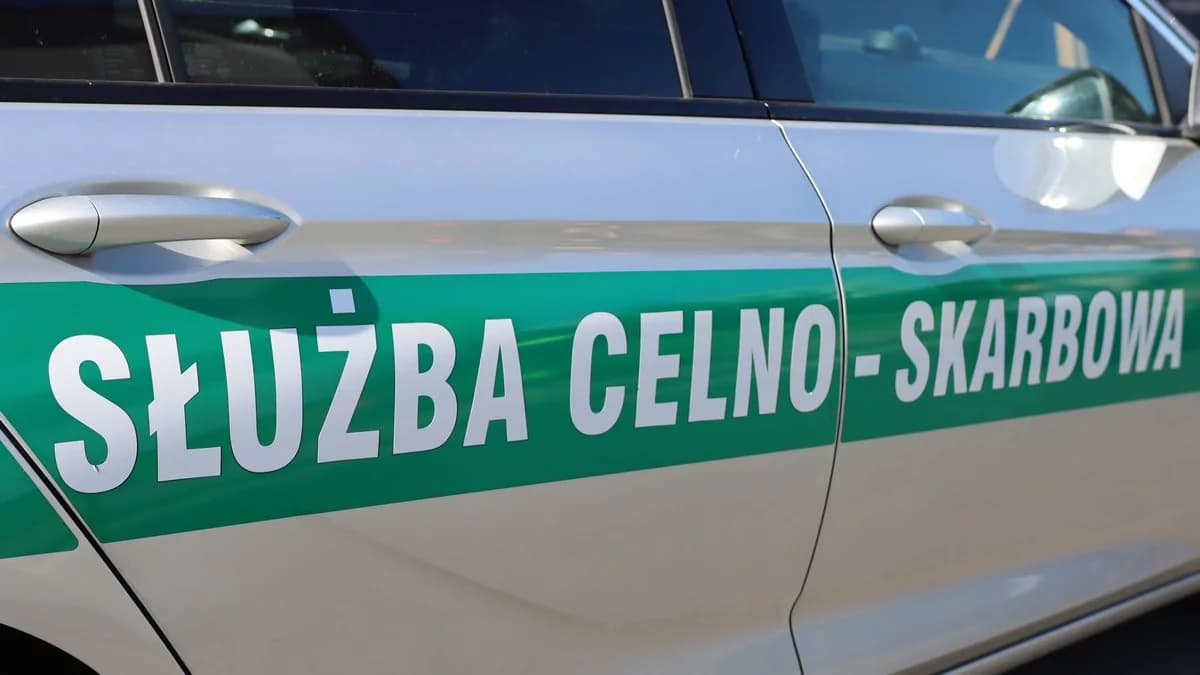 Szukają do pracy 20 osób. Wystarczy wykształcenie średnie