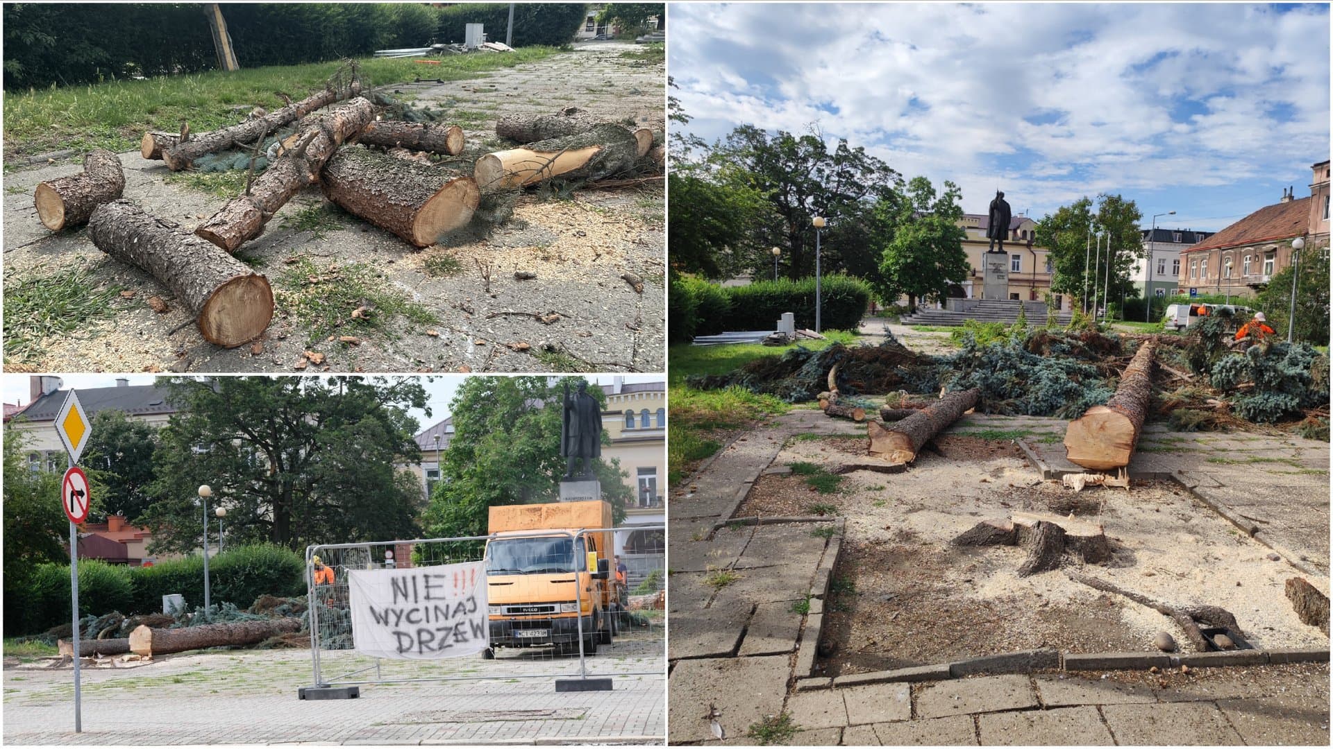 Szybko poszło .Mimo protestu mieszkańców wycięto drzewa w centrum Tarnowa