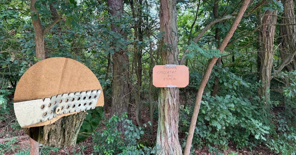 Tabliczka na drzewie? Zanim to zrobisz, przeczytaj — grozi za to grzywna