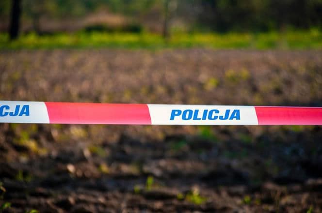 Tajemnicza śmierć w pomorskim lesie. Znaleziono ciało 39-latka