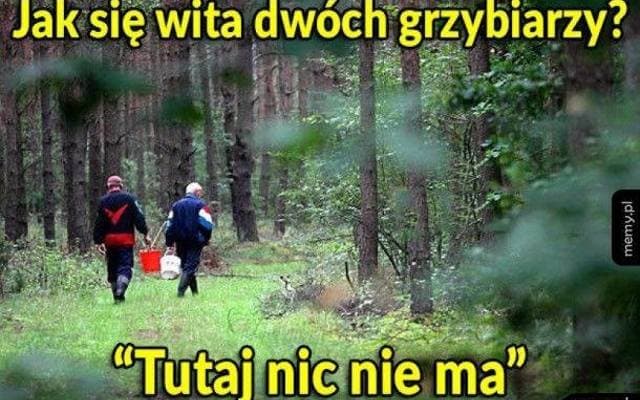 Tak witają się grzybiarze! Zanim pójdziesz do lasu, koniecznie zobacz te MEMY