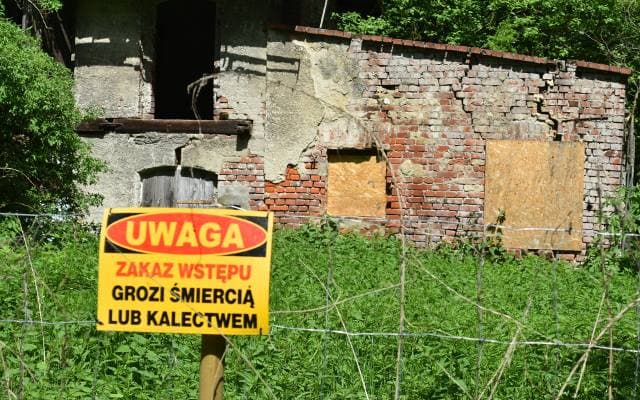 Ten las skrywa prawdziwe tajemnice. Kiedyś był tu gwar, teraz są ruiny