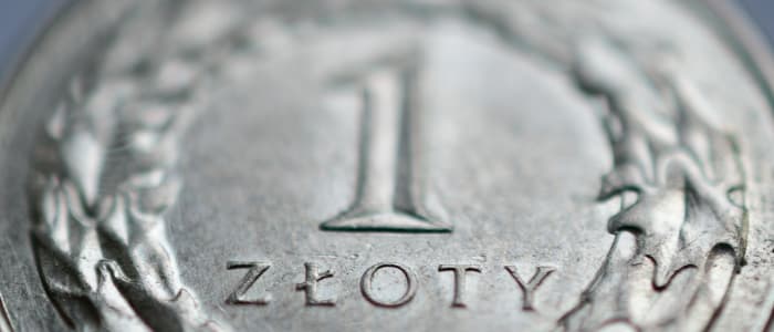 To jedno z krótszych oświadczeń majątkowych włodarza gminy. To wpisała do niego wójt